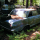 Illustration for article titled Massive Secret Mustang Junkyard Found In Rhode Island Forest